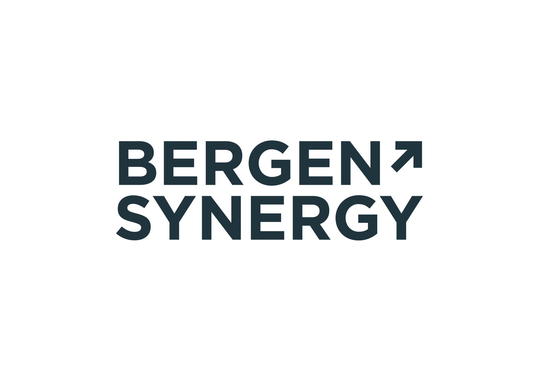 Bergen Synergy