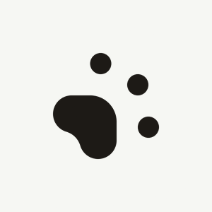 Watchdog Group AS